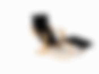Iskon Long Chair (preview)