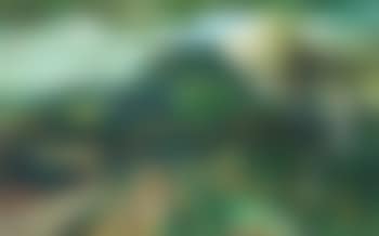 Mountain landscape (preview)