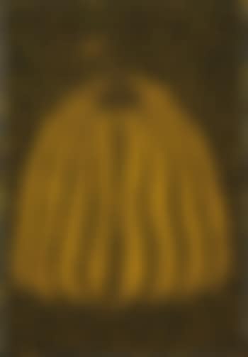 Pumpkin (preview)