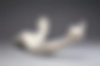 Marble Arm (preview)