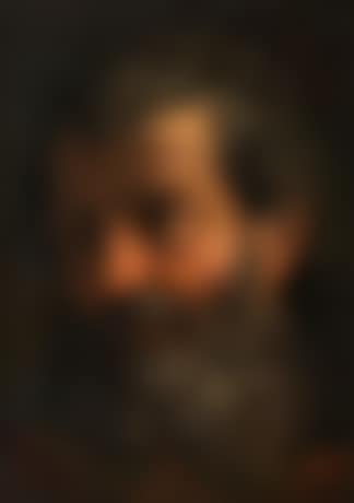 Head Study of a bearded man (preview)