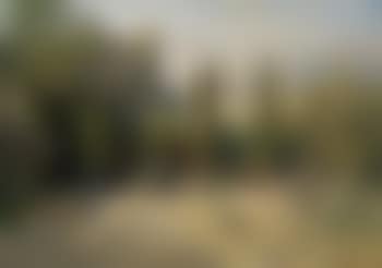 Garden in the Etsch Valley (Trento) (preview)