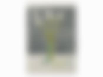 Still Life (preview)