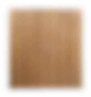 A screen (preview)