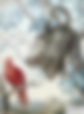 Roter Papagei und Flughund vor weitem Landschaftshintergrund (preview)