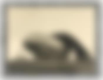 United States Airship Akron, 1931 (preview)