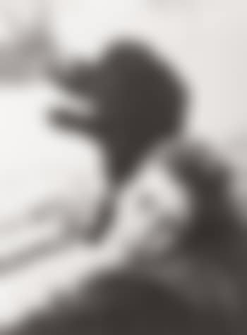 Untitled (boy reclining on black poodle) (preview)
