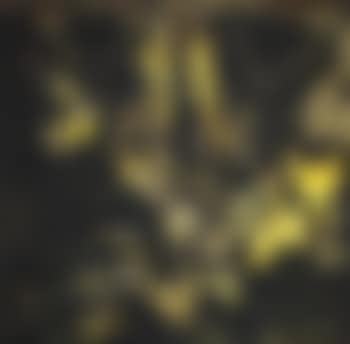 Naissance de l’orchidée jaune by Mathieu Mategot (preview)