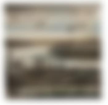 Pêcheur et cormorants (preview)
