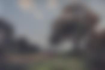 Landscape (preview)
