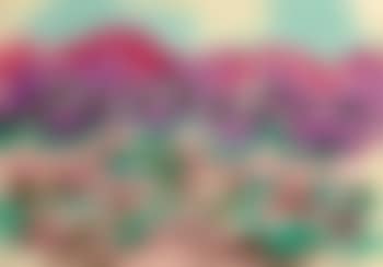 Paysage en Haute Provence (preview)