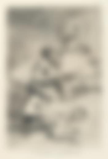 Devota Profesion (preview)
