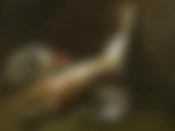 A dead wryneck, bluethroat, hoopoe and bullfinch with a dead hare and a dead jay (preview)