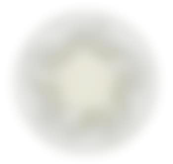 Calypso, Bowl (preview)