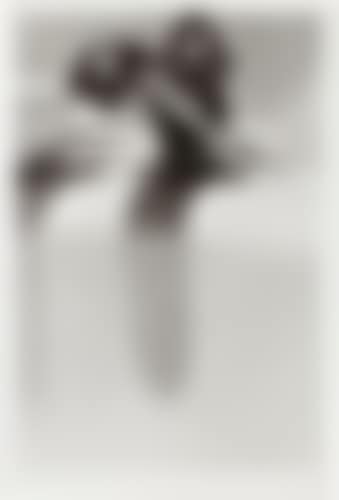 Robinet (preview)