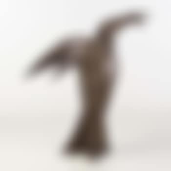 Corymbe (preview)
