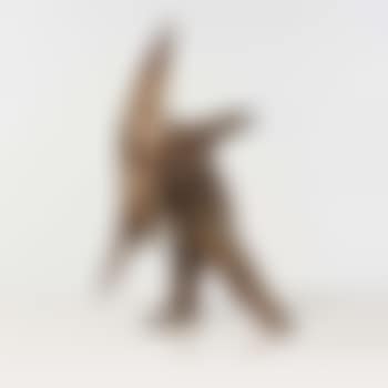 Le favori (preview)