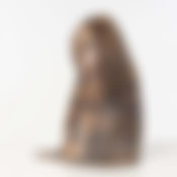 Contemplatif (preview)