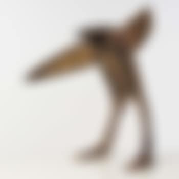 Stretch out (preview)