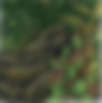 Tapis-nature (preview)