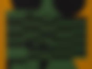 Sonka (preview)