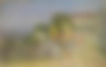 Contadinelle (preview)