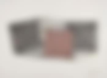 'Progetto 1991' (preview)