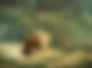 Small Seascape (preview)