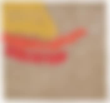 'Campo giallo 2006' (preview)