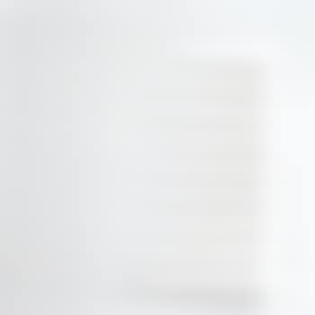 'Bianco 1977' (preview)