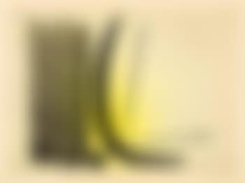 R 8 (preview)