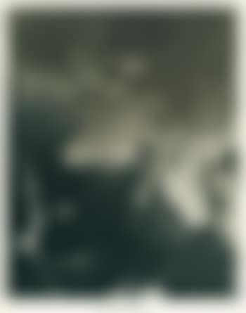 Günter Brus (preview)