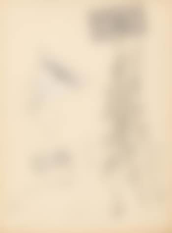 Ohne Titel (preview)