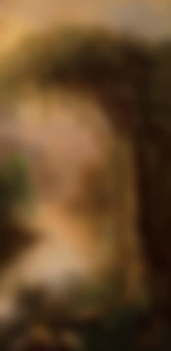 Bayou (preview)