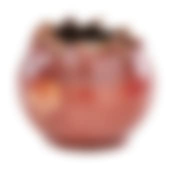 Vase with Ruffled Rim (preview)