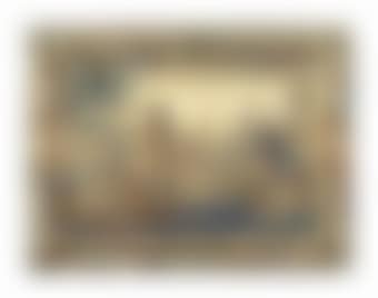 A flemish historical tapestry by Pieter Coecke van Aelst (preview)