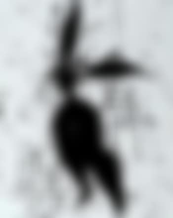 Nude study (preview)