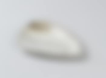 TW 100 (preview)