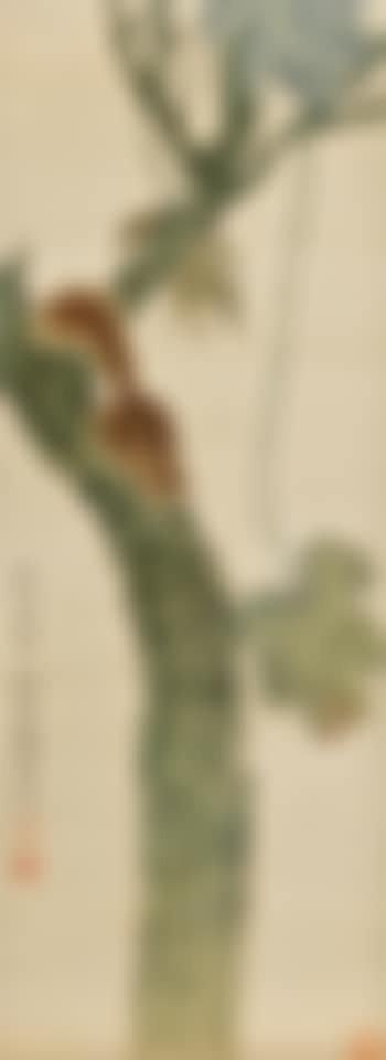 Squirrel on a Tree (preview)