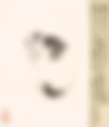 Cat (preview)