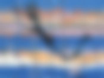 Shoalhaven Landscape with Black Figure (preview)