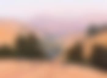 Summer Haze (preview)