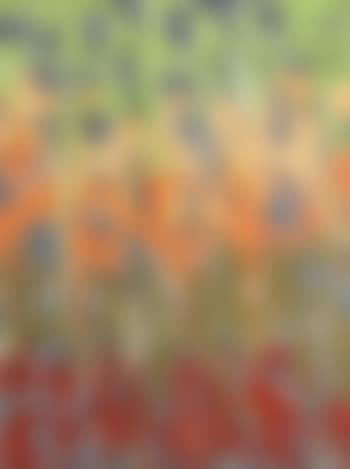 Authum leaves (preview)