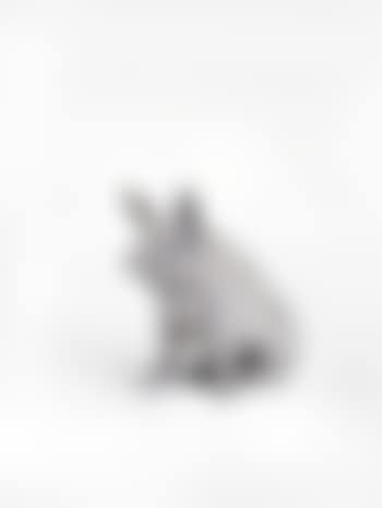 A Victorian model of a pig (preview)