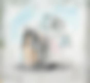 Scuba horse (preview)