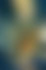 Aspirations (preview)