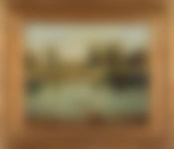 Sommerliches Moor (preview)