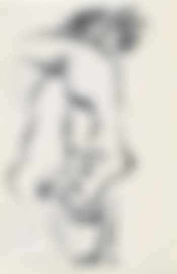 14 dessins originaux dont 11 érotiques (preview)
