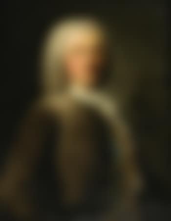 Portrait d'homme au Gilet Brodé (preview)