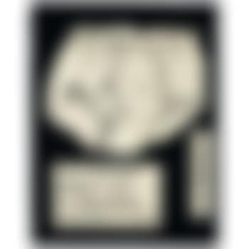 Self Portrait Number Two: My Underwear November 14, 1966 (preview)